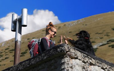 Priprava na hribe s psom