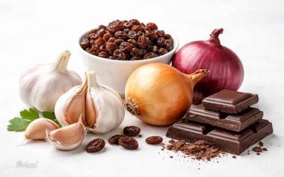 Psu nevarna in strupena hrana