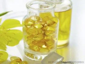 Omega 6 maščobne kisline za psa