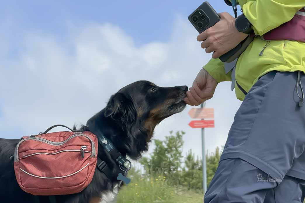 Pasji nahrbtnik; S psom v hribe