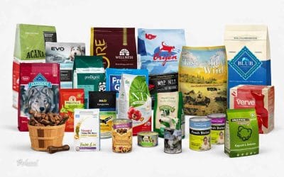 Kakšni so Premium izdelki pasje hrane