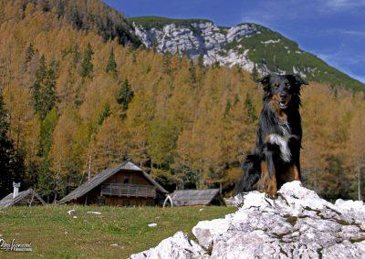 Planina Ravne, koča, Pasji horizont