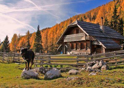 Planina Ravne, koča, Pasji horizont