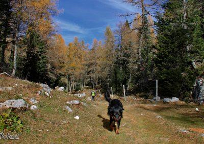Planina Ravne, pot na Krstenico