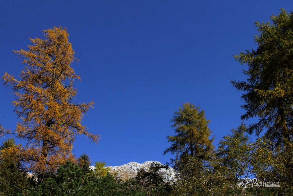 Vrtača nad jesenskimi macesni