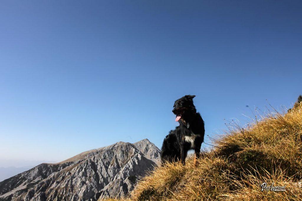 Greben na poti na Vrtačo