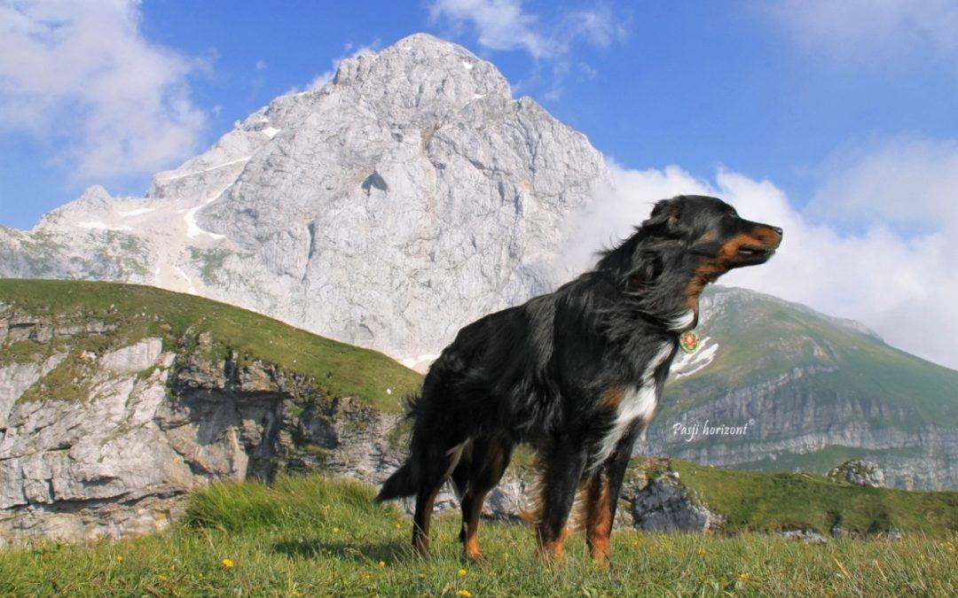 Mangart (Zelenci, Rabeljsko, Jasna)