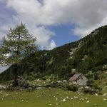 Pastirska koča na Dolgih njivah