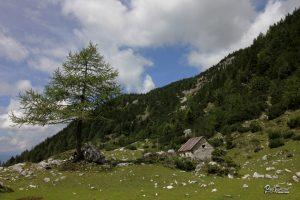 Pastirska koča na Dolgih njivah