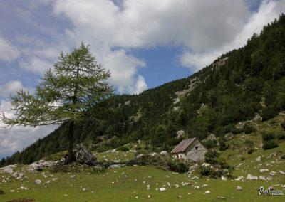 Dolge njive, pastirska koča
