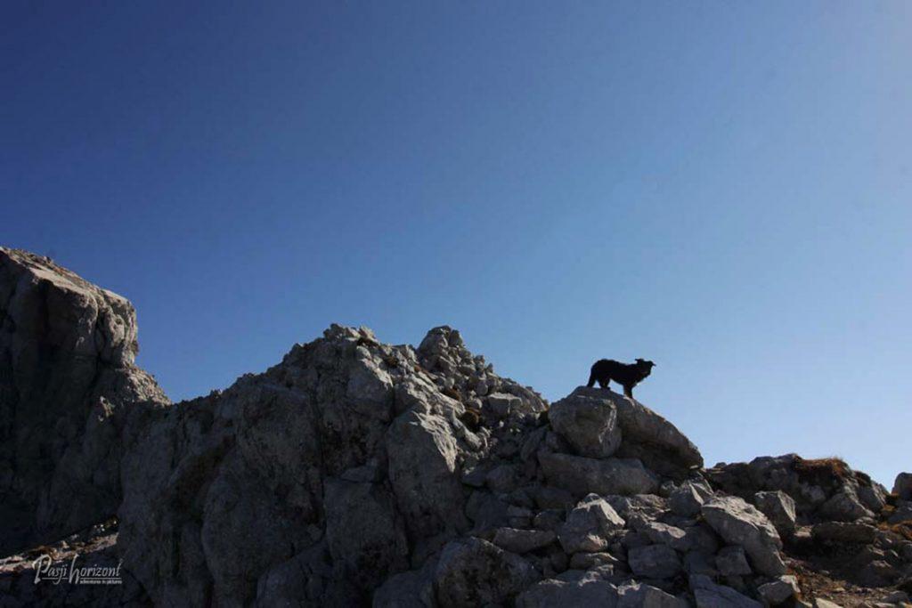 Skalnat vzpon proti vrhu Vrtače
