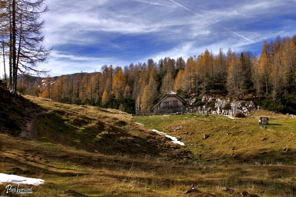 Pastirska koča na planini Polšak v zlatih macesnih