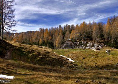Planina Polšak, pastirska koča