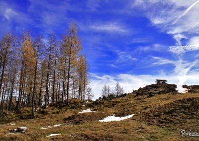 Planina Polšak, klopca z razgledom