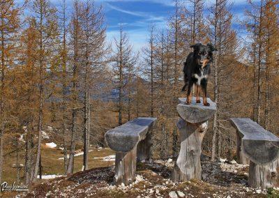 Planina Polšak, Pasji horizont