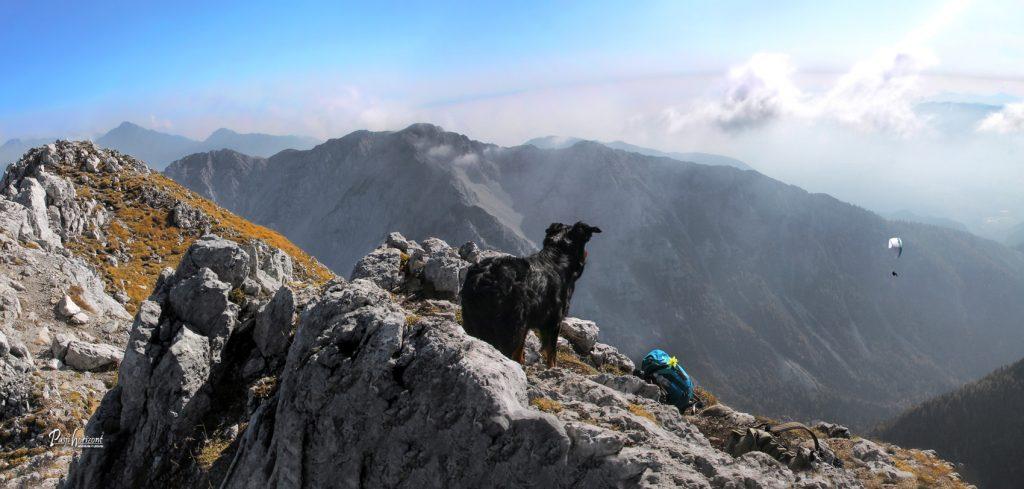 Panorama z vrha Vrtače v Karavankah
