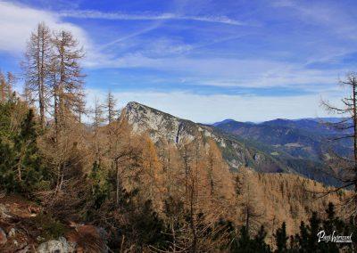 Križevnik, razgled na Raduho