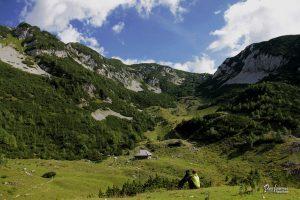 Planina Koren na poti proti Vrhu Korena