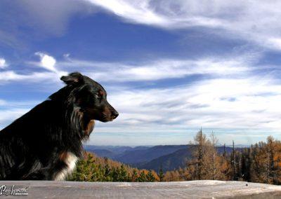 Križevnik (Pl. Polšak, Pl. Ravne, Pl. Podvežak)