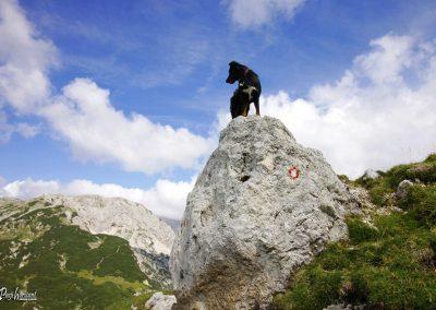Vrh Korena, pogled na Kalški greben