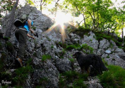 Brežniške peči in Gosjak