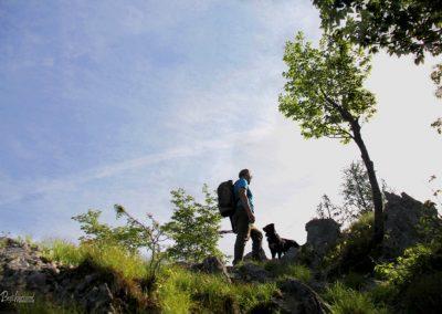 Brežniške peči in Gosjak