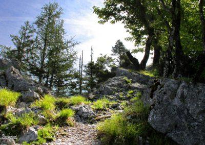 Brežniške peči in Gosjak