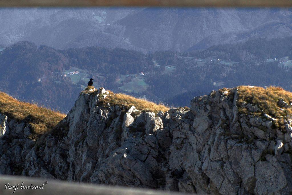 Črna prst, panoramski razgled s koče