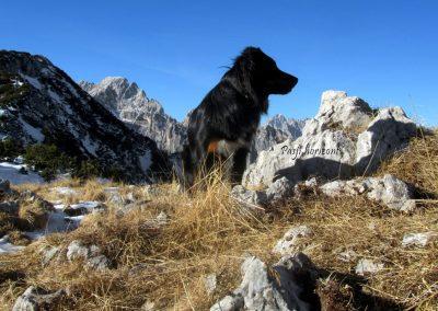 Debela peč, Brda, Pasji horizont