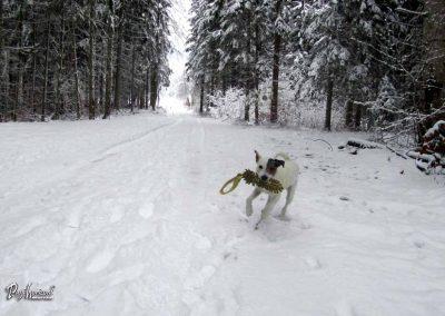 ERPS vaja Gotenica, skupina 8, 2018