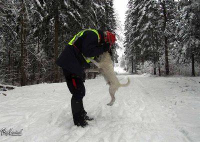 ERPS vaja Gotenica, skupina 8, 2018