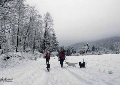 ERPS vaja Gotenica, skupina 8, 2018