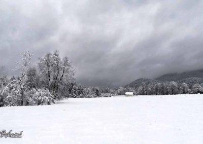 ERPS vaja Gotenica, skupina 8, 2018