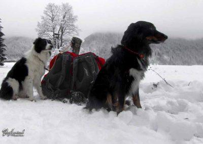 ERPS vaja Gotenica, skupina 8, 2018