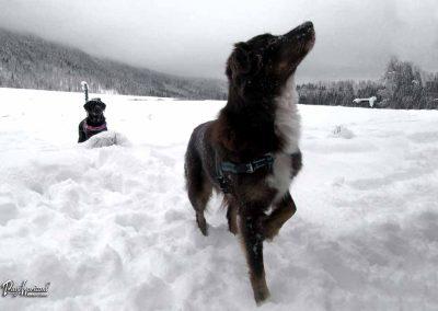 ERPS vaja Gotenica, skupina 8, 2018