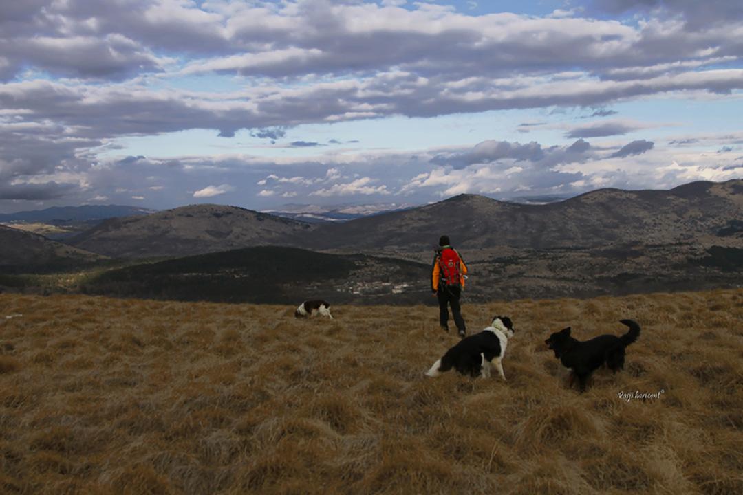 Panorama z Goliča