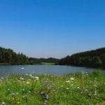 Razgled na Gradiško jezero in zeleno okolico
