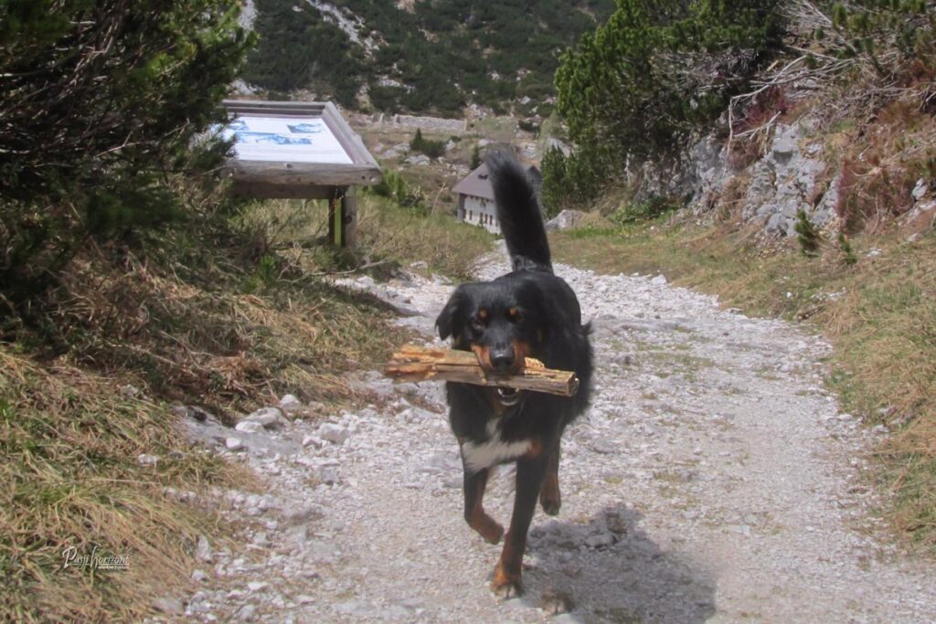Planina pod Bogatinom na Komni z informativno tablo
