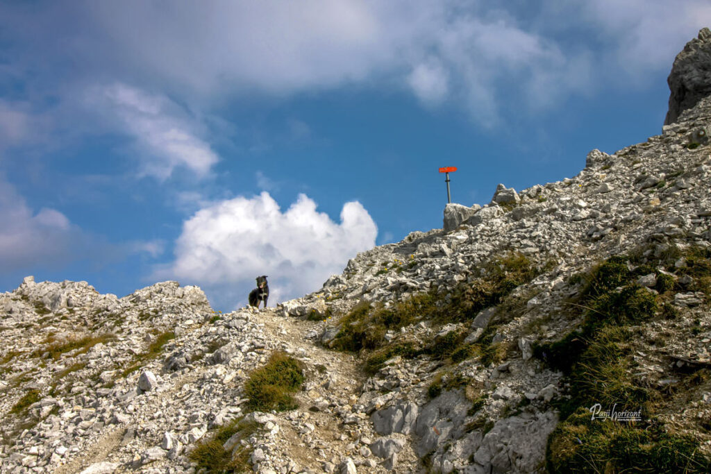 Skalnat vzpon proti mejnemu grebenu Košute