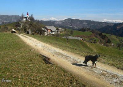 Sveti Tomaž, pot na Lubnik