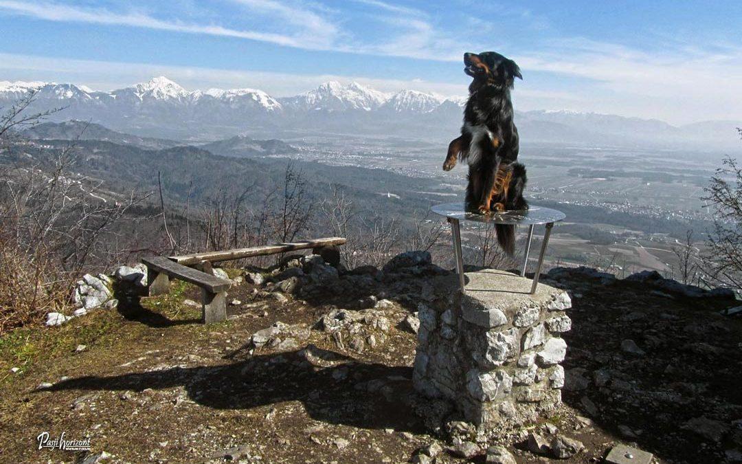 Lubnik (Sveti Tomaž) – gpx