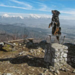 Pes na vrhu Lubnika z gorsko panoramo