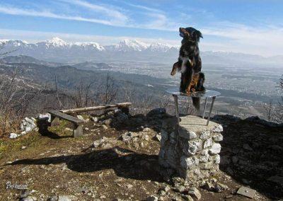 Lubnik, vrh, razglednik