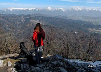 Lubnik, razgled z vrha
