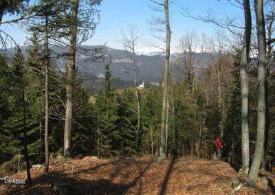 Sveti Tomaž, pot na Lubnik skozi gozd