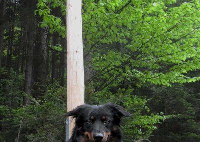 Pot na Menino planino, Usran klanc