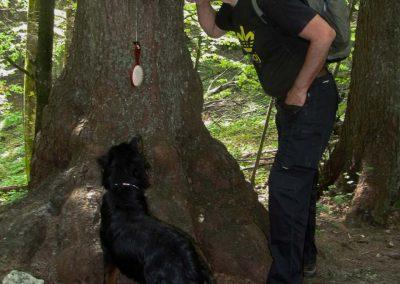 Menina planina, ob poti, kopalnica