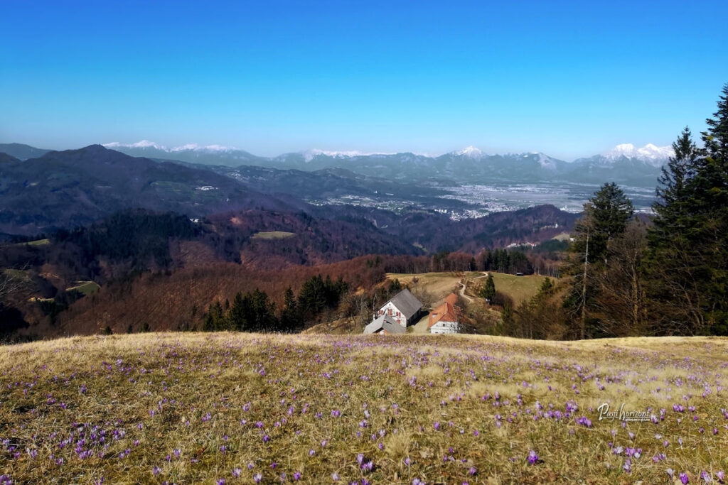 Sveti Ožbolt, pogled na dolino