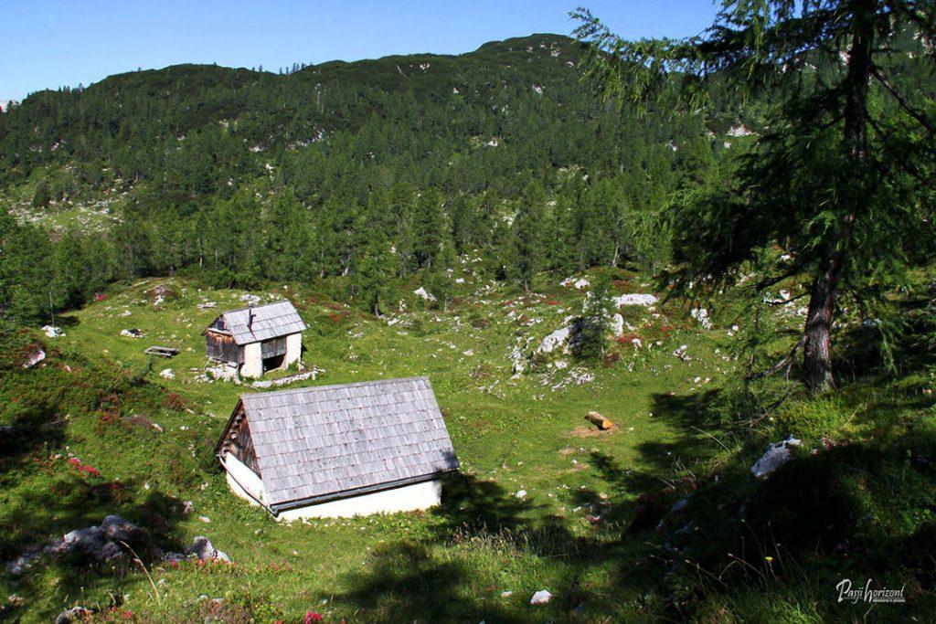 Planina Ovčarija s planšarskimi kočami