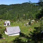 Planina Ovčarija s planšarskimi kočami